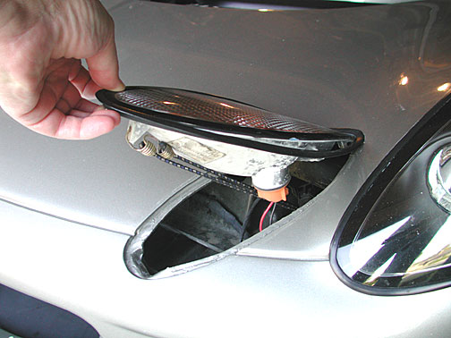 lens with bungee cord