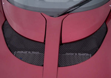 Lotus Elise radiator exit mesh