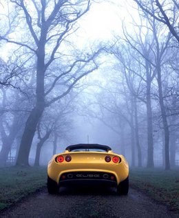 s2treerear