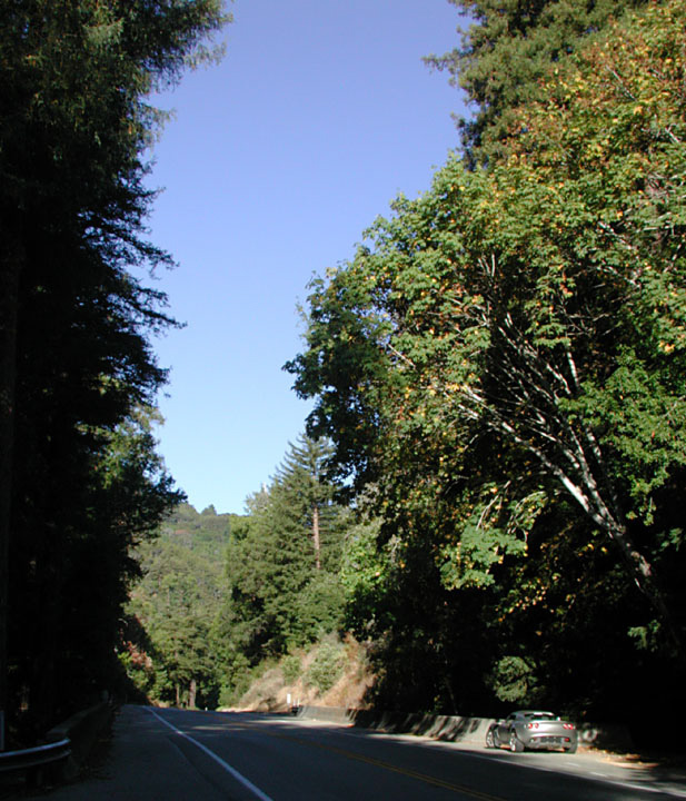 bigsur