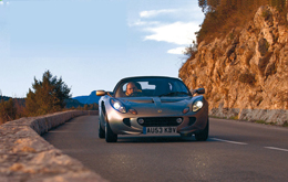 elise111rstorm