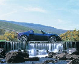 elise111sauberginepurple3