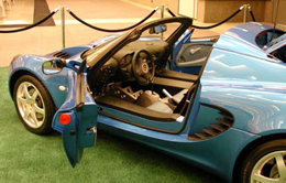 blueinterior