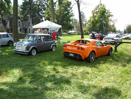 miniandlotus
