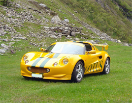 motorsportwing