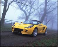 yellow Elise