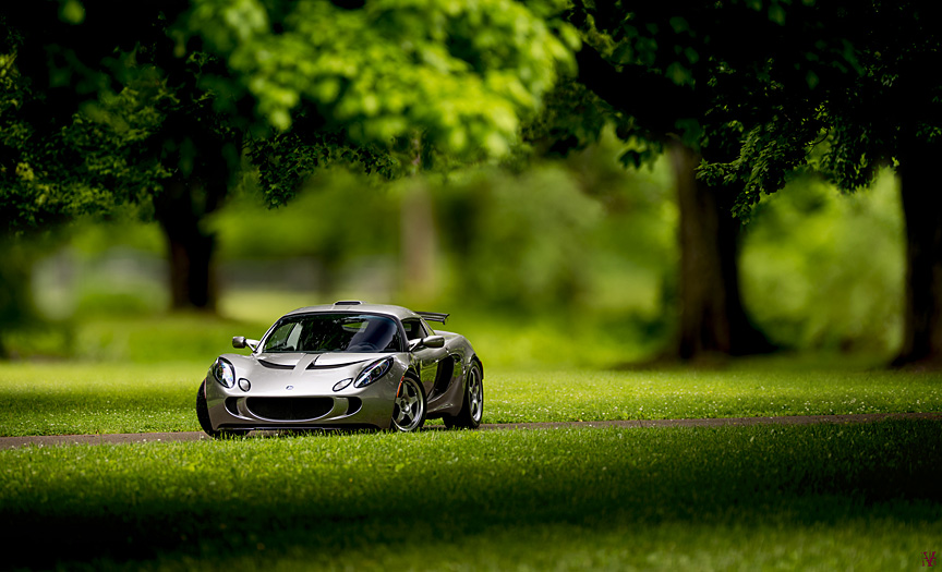 lotus letters