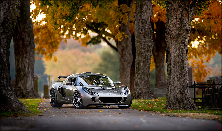 lotus letters